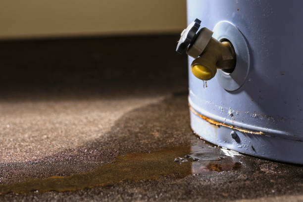 Best Water damage restoration near me  in Vivian, LA