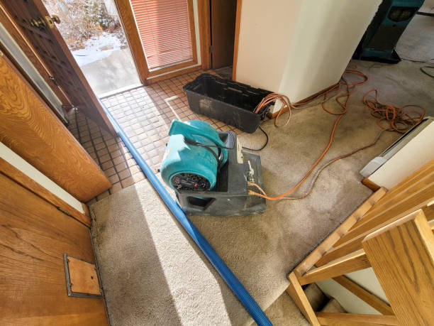  Vivian, LA Water damage restoration Pros