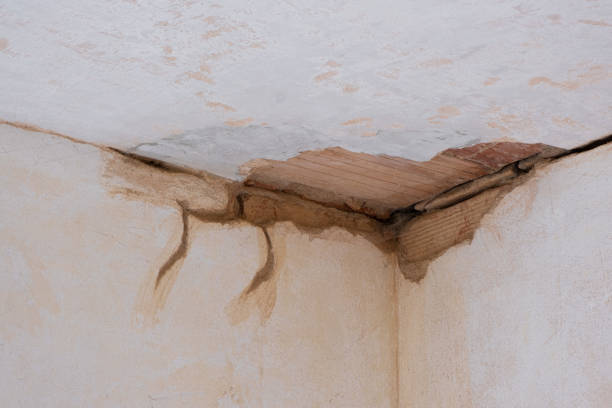 Best Sewage cleanup and water damage restoration  in Vivian, LA