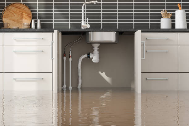 Best Water damage contractors near me  in Vivian, LA