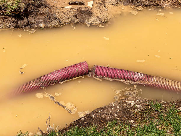 Best Water damage restoration near me  in Vivian, LA