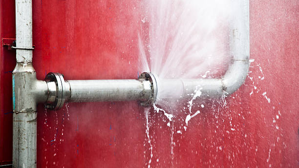 Best Carpet water damage restoration  in Vivian, LA